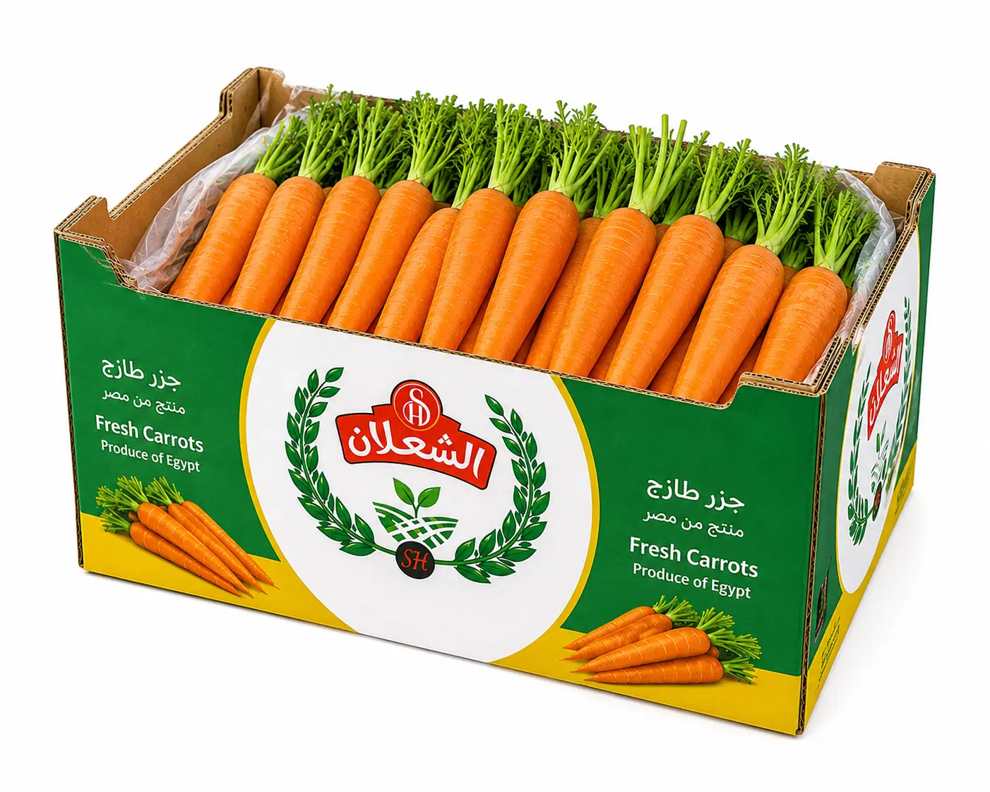 Fresh Carrots