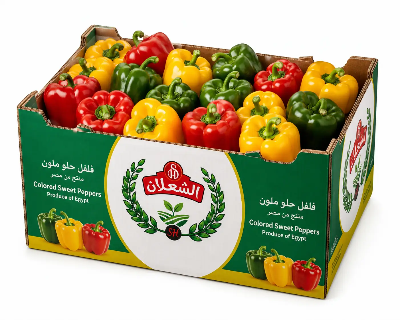 Colorful Egyptian bell peppers — red, yellow and green. Fresh and frozen.