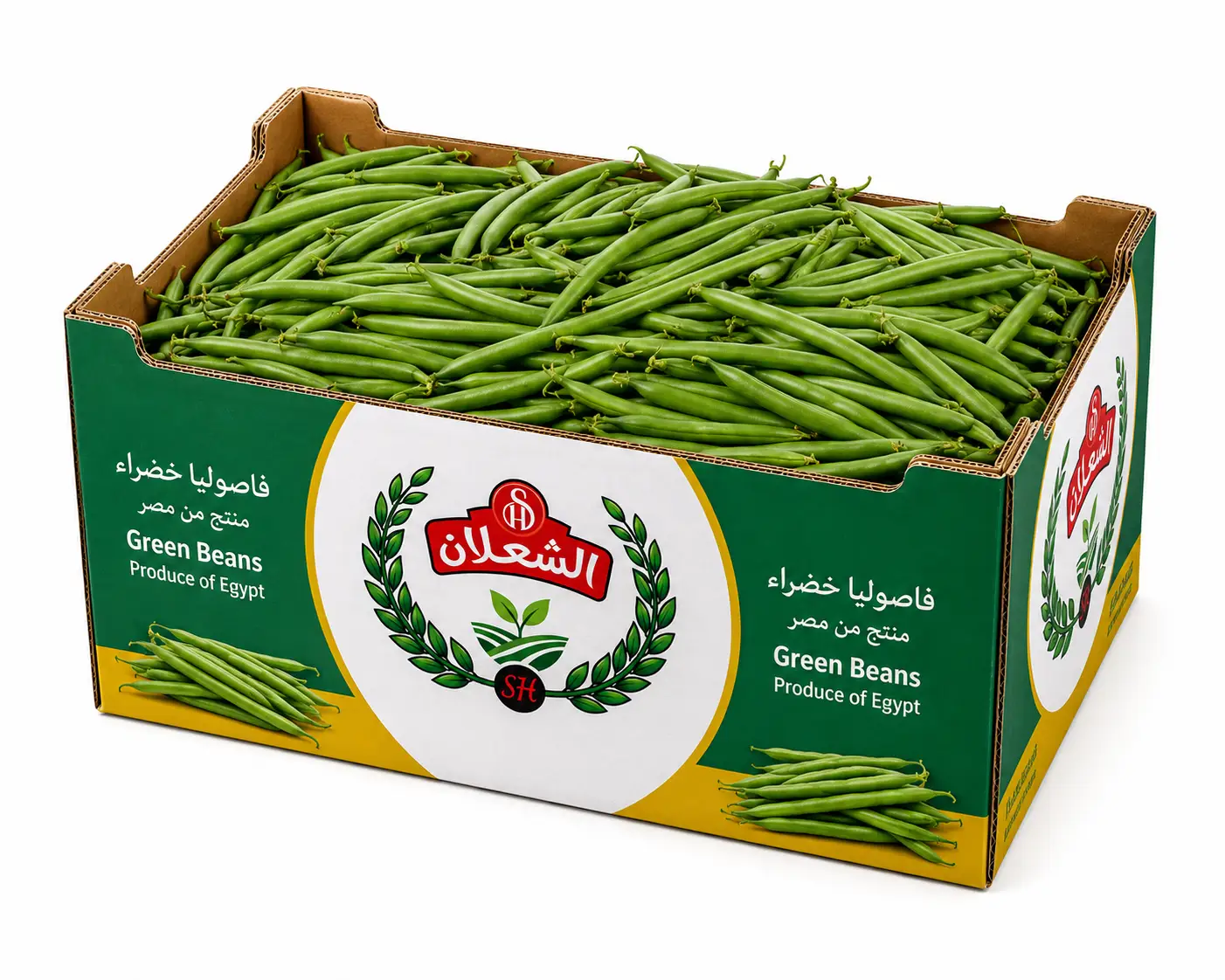 Tender Egyptian green beans — fine and extra-fine. Fresh and IQF frozen.