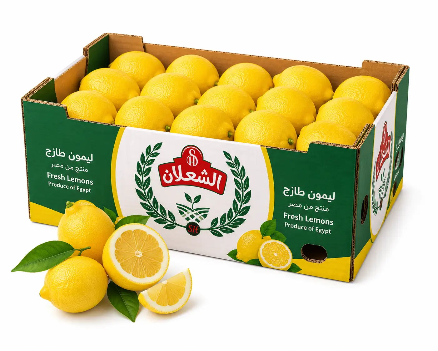 Fresh Egyptian lemons — high juice content, strong aroma. Export grade.
