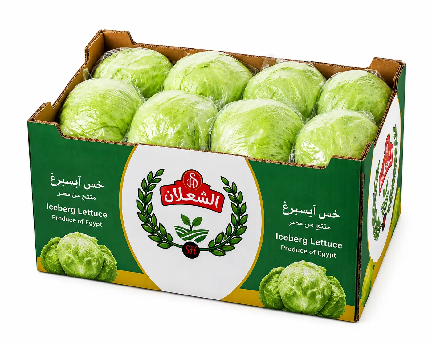 Export-grade fresh Egyptian iceberg lettuce — firm, crisp heads graded and packed to international standards for retail, food-service and fresh-cut programs. Contact us for a quotation and current availability.