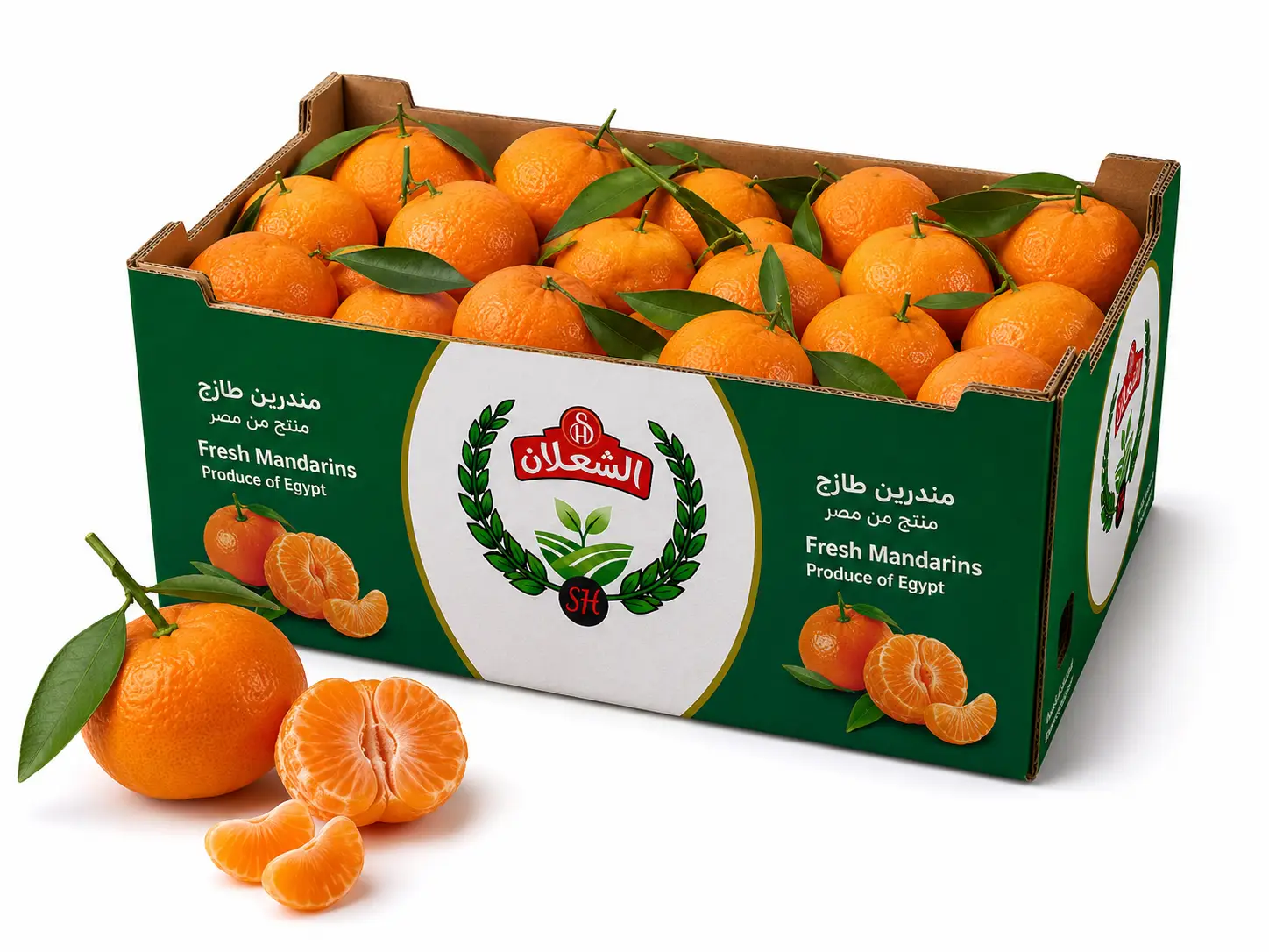 Sweet, easy-peel Egyptian mandarins with vibrant color — retail and wholesale.