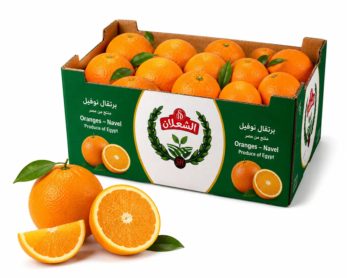 Premium Egyptian Navel oranges — seedless, sweet, juicy, deep orange color. Export grade.