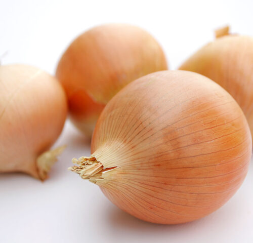 Fresh Egyptian Onions
