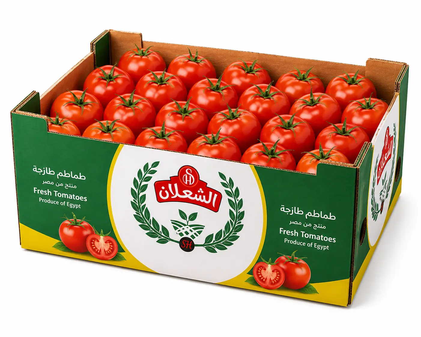 Firm, flavorful Egyptian tomatoes — export grade with strong shelf life.