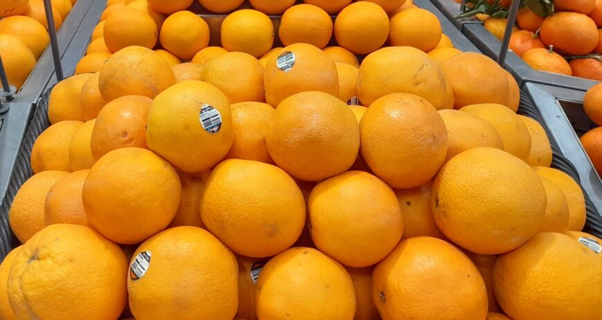Fresh Valencia Oranges