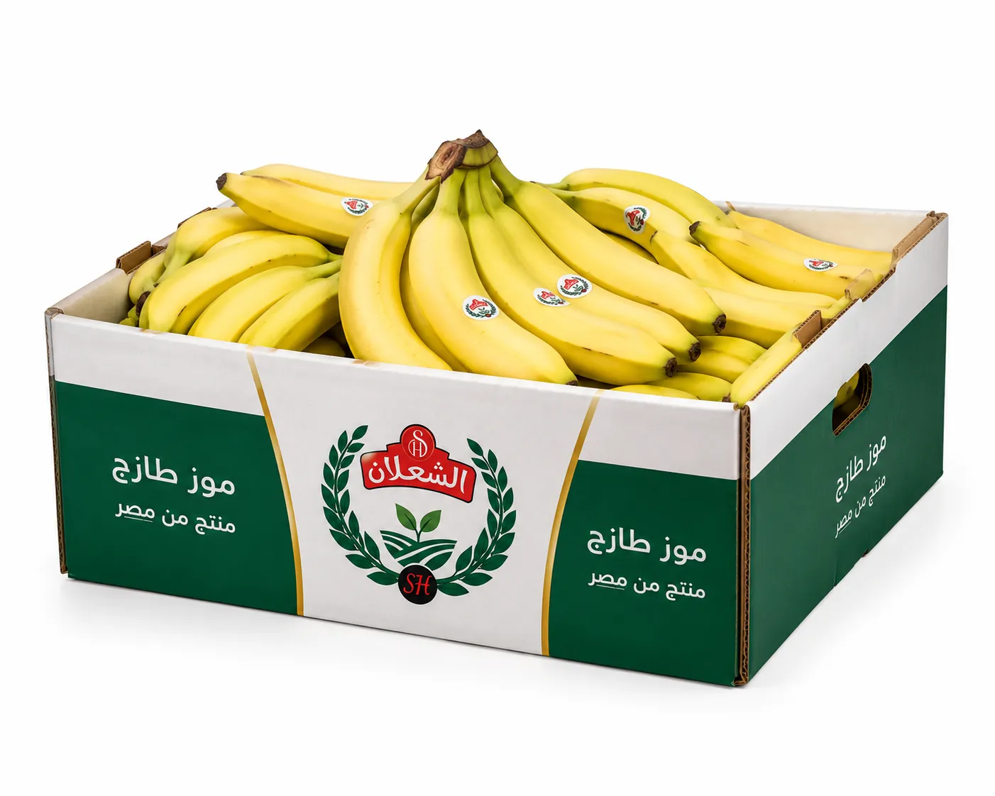 Fresh Bananas