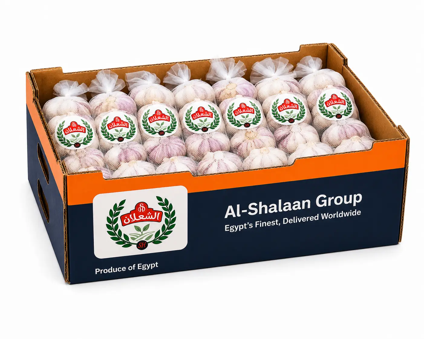 Aromatic Egyptian garlic — tight cloves, strong flavor. Export packed.