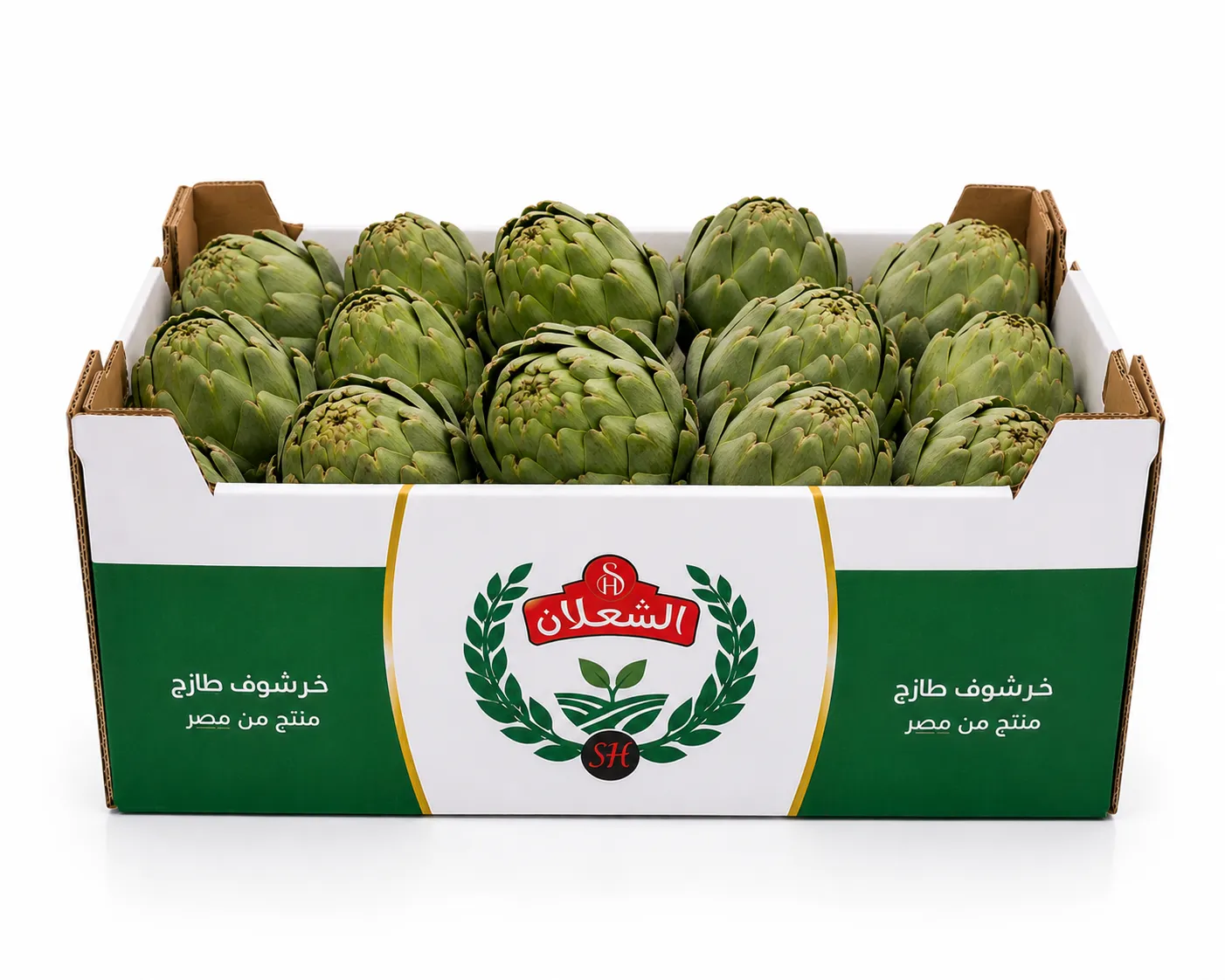 Fresh Artichokes