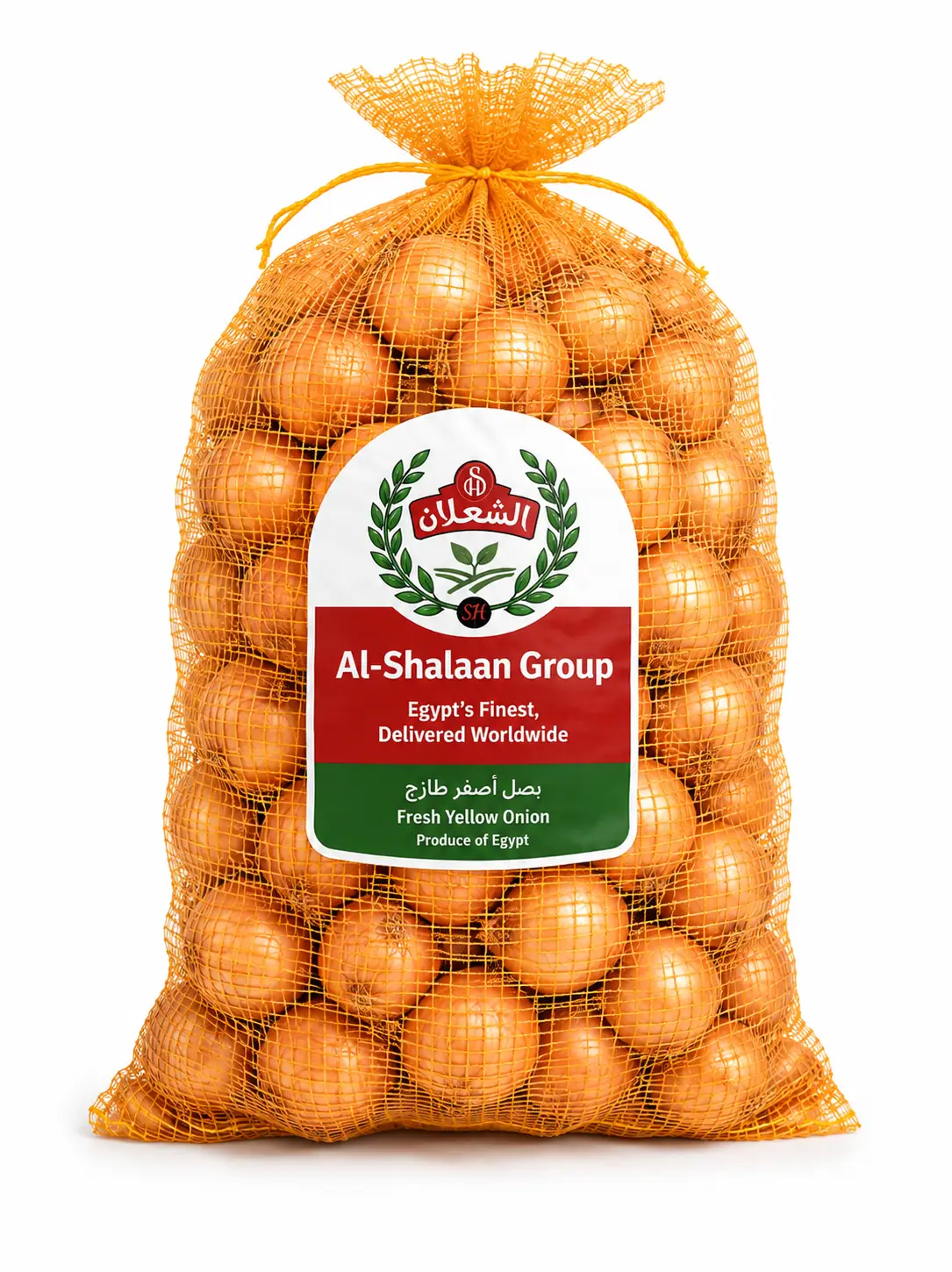 Fresh Egyptian yellow (golden) onions — firm bulbs, golden skins and long shelf life. Graded by size and packed in mesh or cartons to specification for wholesale and retail. Contact us for a quotation and availability.