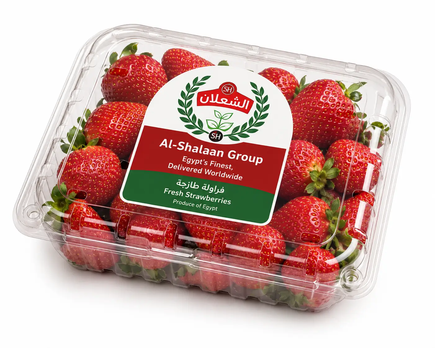 Bright red Egyptian strawberries — sweet and aromatic. Fresh and IQF frozen available.